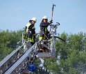 Feuer Koeln Ossendorf Butzweiler Hof neben IKEA P235